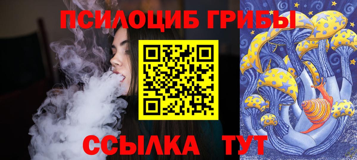 Севастополь  Псилоцибиновые грибы Psilocybe  Вход с VPN 